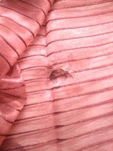 Curtain