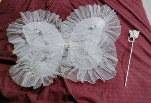 Fairy Wings Pari Wings