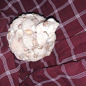 VINTAGE SEASHELL POT