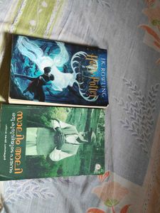 Harry Potter and the fall of a sorrow