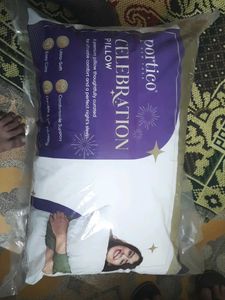 Portico Celebration Pillow pack of 2