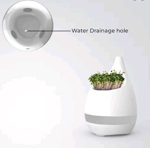 Everyday Organisers Sprout