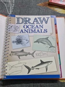 Draw Really Cool Stuff Book