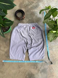 Dickies Shorts