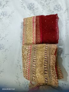Golden Pink Red Lehenga