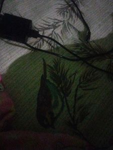 So Nich T Shirt