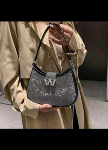 Alexandra Wang Slingbags