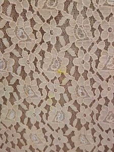 Sassafras Lace Top