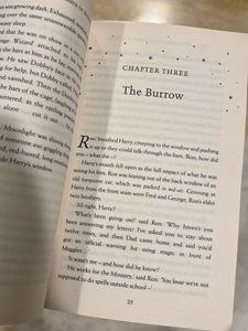 Harry Potter &amp; Chamber Secrets