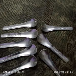 Mini Stainless Steel Spoon Set Of 8