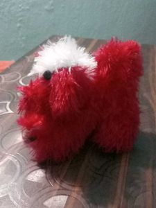 Baby Dog