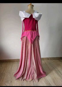 Aurora Costume Dress