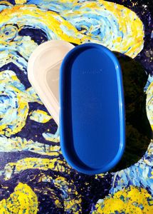 Mm Oval Storage Container