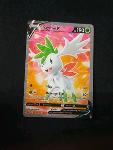 Shiny Pokemon Duo – Eevee(Holo Promo)&amp; Shaymin V🌸