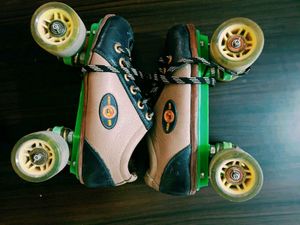 Shoes Skate