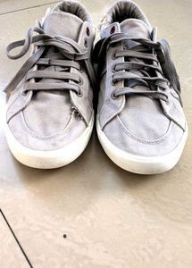 US polo Gray Sneakers with Red Accent