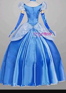 Cinderella Costume Dress