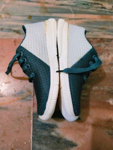 Apolo002
