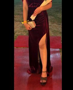 savana elegant velvet  party dress