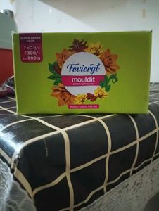 Fevicryl Clay
