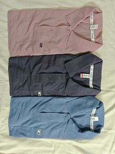 Collar Tshirt Set Of 3 Large plain half sleeves