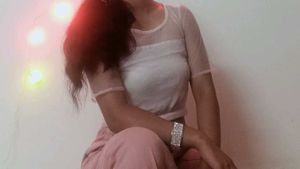 Elegant Sheer Sleeve Top