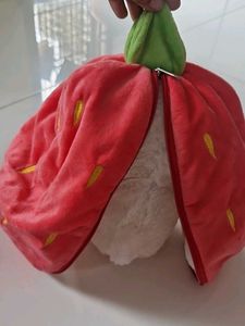 Strawberry Teddy