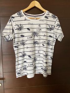 Combo of 4 branded tshirts