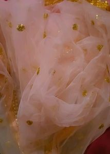 beautiful Baby Pink Colour Anarkali Duppta
