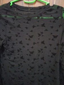 Butterfly sheer Top Full sleeve