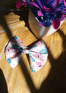Cute Bow Clip And Earings Combo