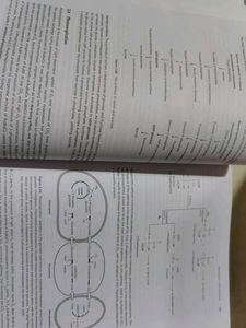 Life Science.. Fundamental And Practice 1