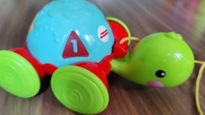 Fisher Price Pull-Along Turtle