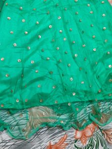 Green Embellished Blouse lehnga with Ruptta