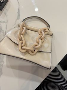 ⭐️ALDO⭐️ Classic handbag Matte Chain