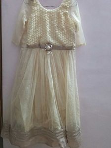 A Cream Coloured ,Net Material Gown