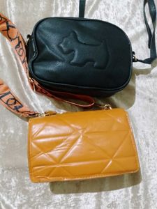 Two Stylish Crossbody Bags