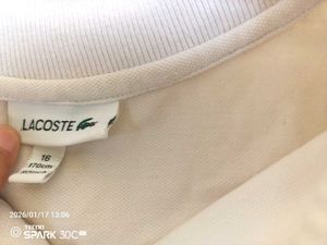 Lacoste Polo Shirt