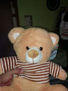 Cute Teddy Bear🩷
