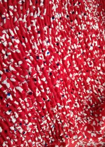 Zudio Red Floral Dress (Women)