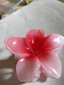 Hair claw Clip