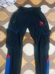 Spider-Man Cargo Sweatpants