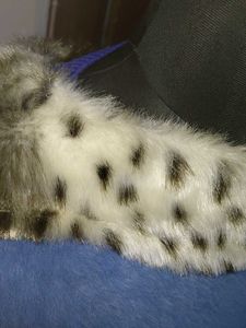 Blue Dress w/ Faux Fur Collar