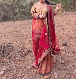 Elegant Ethnic Sharara Suit(Fixed Price)