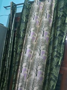 Curtain