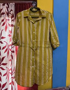Striped Shirt Dress