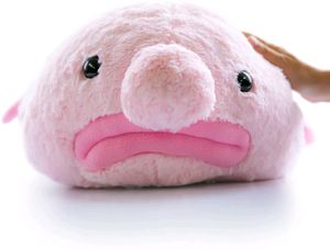 Blobfish Plushie