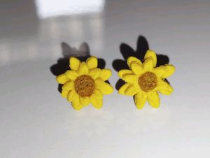 Combo Of 4 Earrings