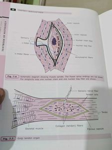 Textbook of Histology, 3rd Edition