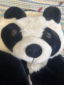 Cute Panda , double side woolen jacket